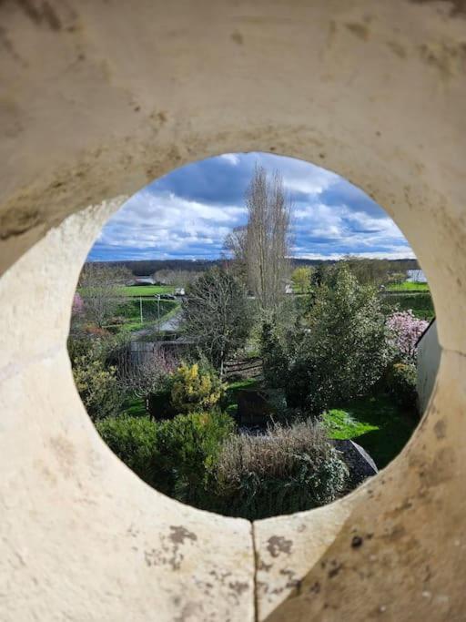 Apartment Reve De Loire *
